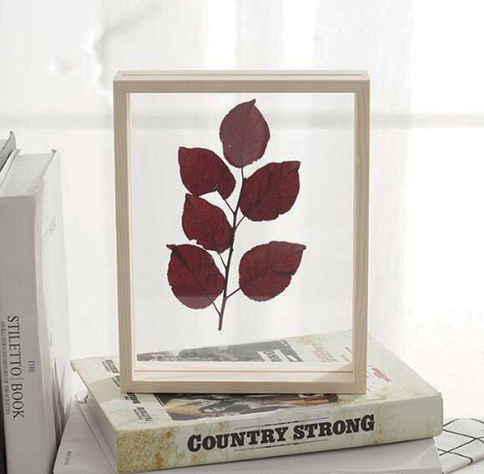 Acrylic glass photo frame decoration double-sided transparent plant specimen leaf clip DIY picture frame