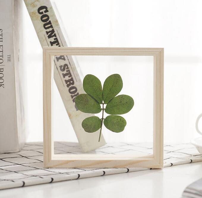 Acrylic glass photo frame decoration double-sided transparent plant specimen leaf clip DIY picture frame