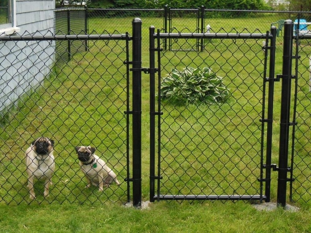 Black Vinyl Coating Chain Link Fence Gate with Latches for Pets