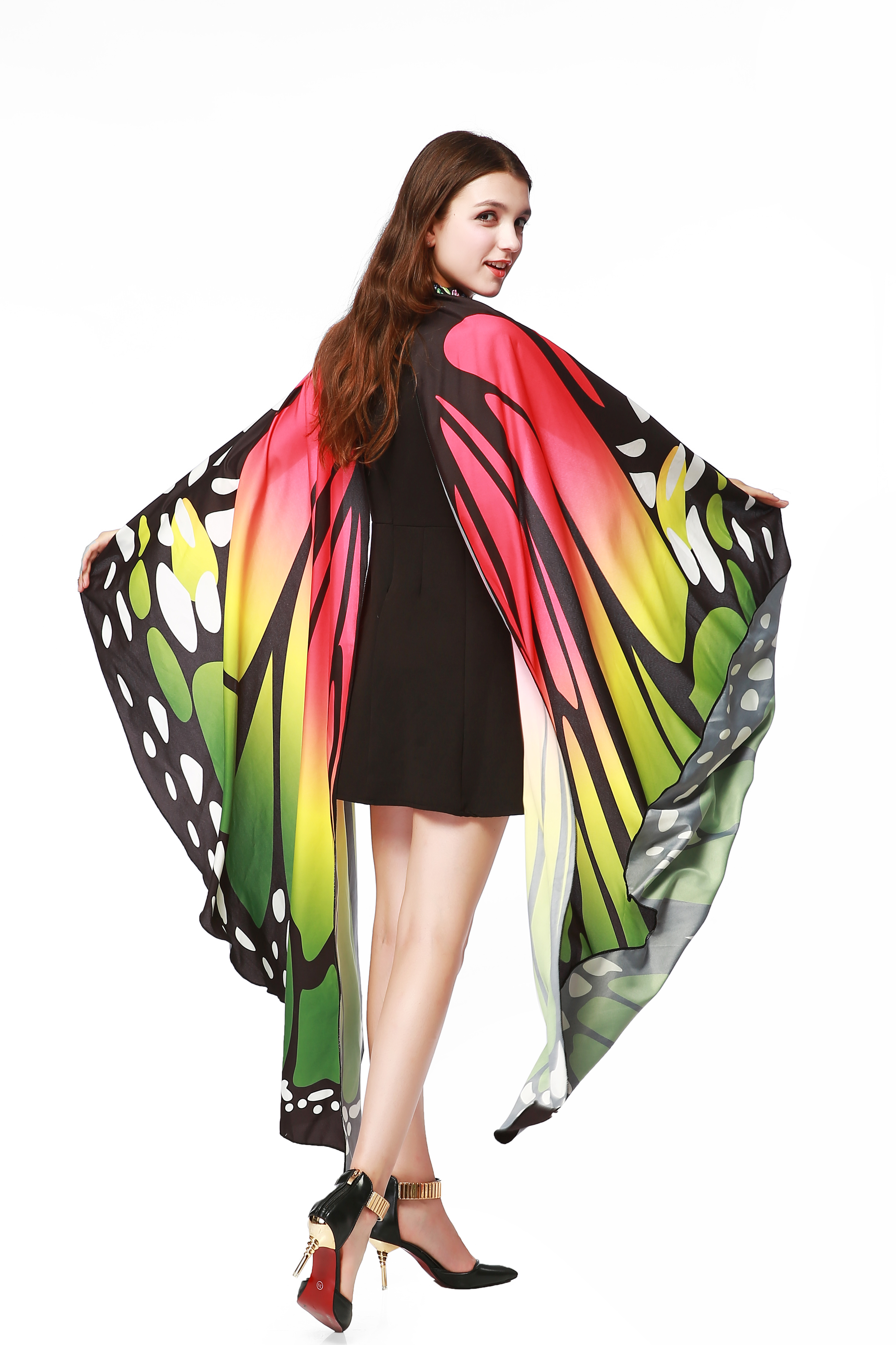 Carnival Butterfly Wings Costume/Ladies Halloween Costume/Halloween Costume Accessories