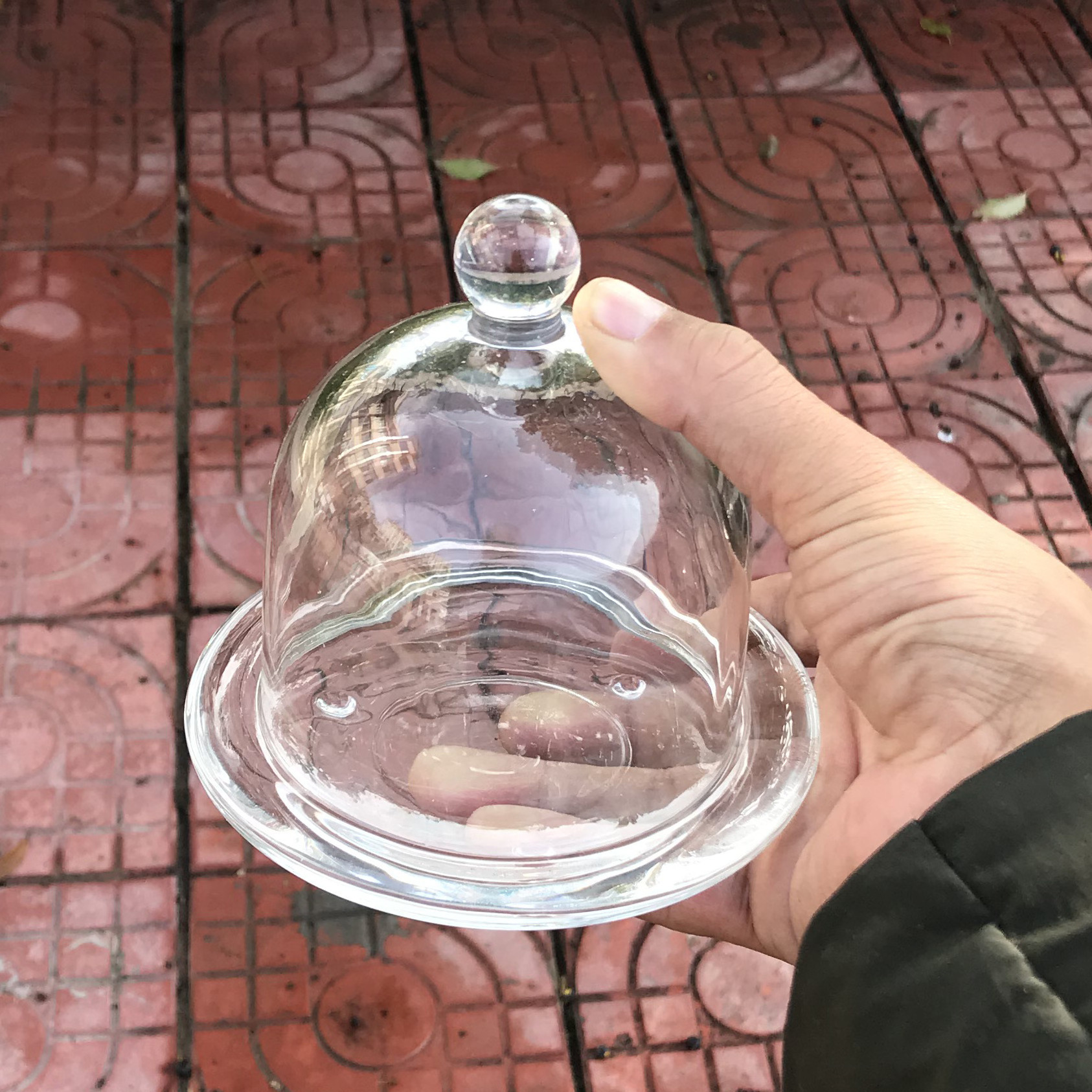 Glass Display Dome / Cloche with Wood Base