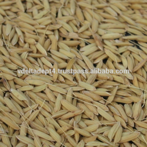 [[HOT PRICE] VIETNAMESE RICE BRAN FOR ANIMAL FEED/ HIGH QUALITY/ CHEAP