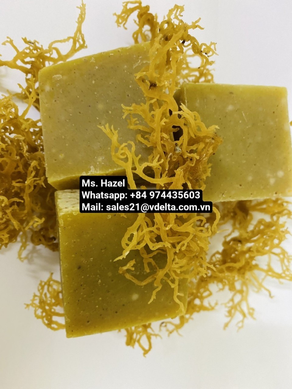 SEA MOSS SMOOTHIE MOISTURIZING SOAP BAR/100% SUPER SEA MOSS SOAP WITH PURPLE AND GOLD SEA MOSS/Ms. Hazel (+84) 974435603