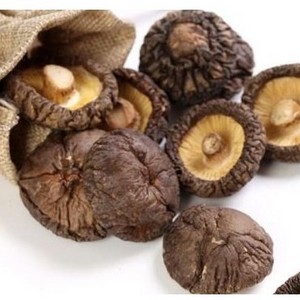 SHIITAKE MUSHROOM - 1 best selling product in Vietnam, high quality and good for health - HANA