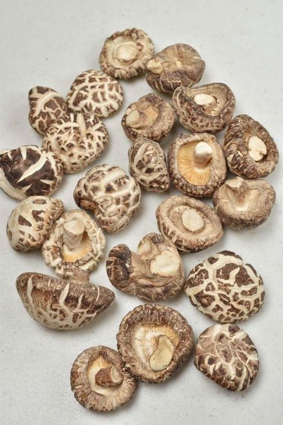 DRIED SHIITAKE MUSHROOM - best selling product in Vietnam, high quality and cheap price - HANA