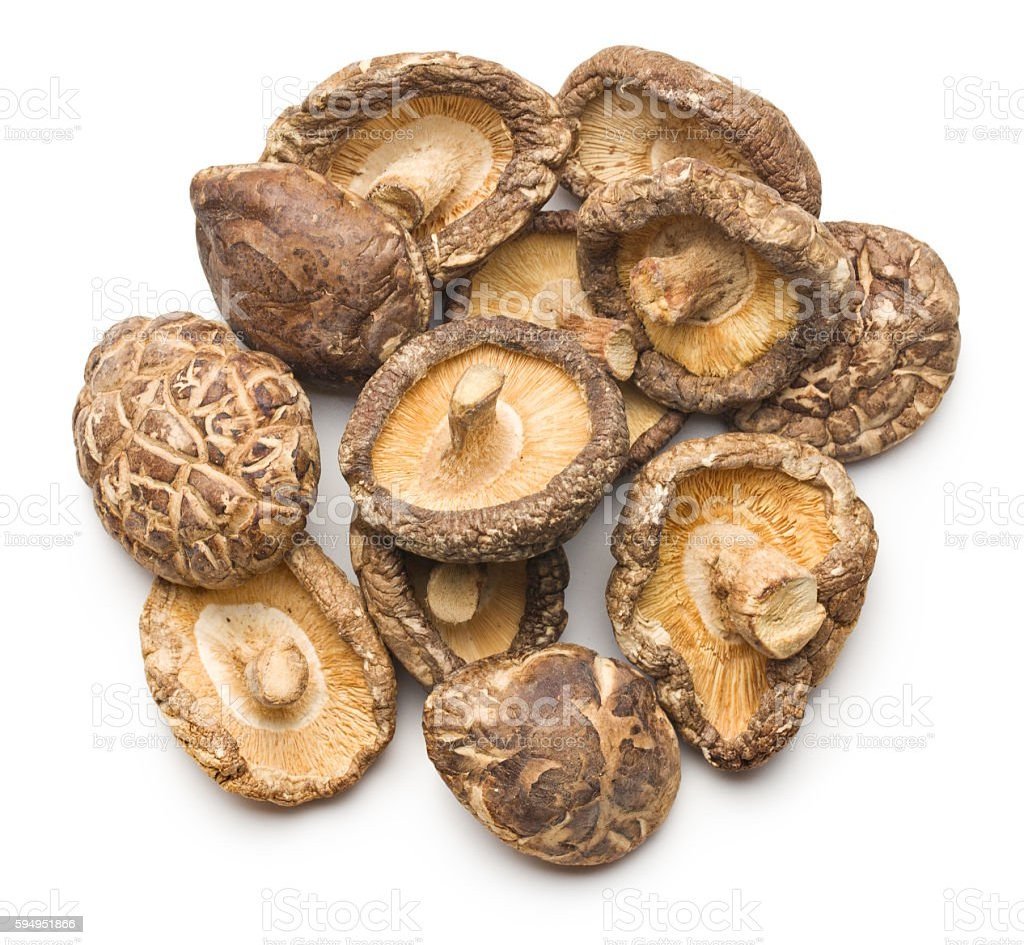 Dried Shiitake Mushroom - best price - best selling from Vietnam/Hana