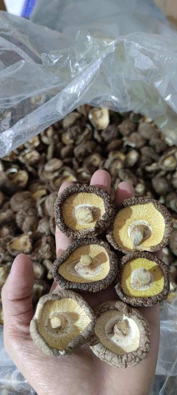 Dried whole shiitake mushroom good price from Vietnam - Cook with dried shiitake mushrooms// Hana