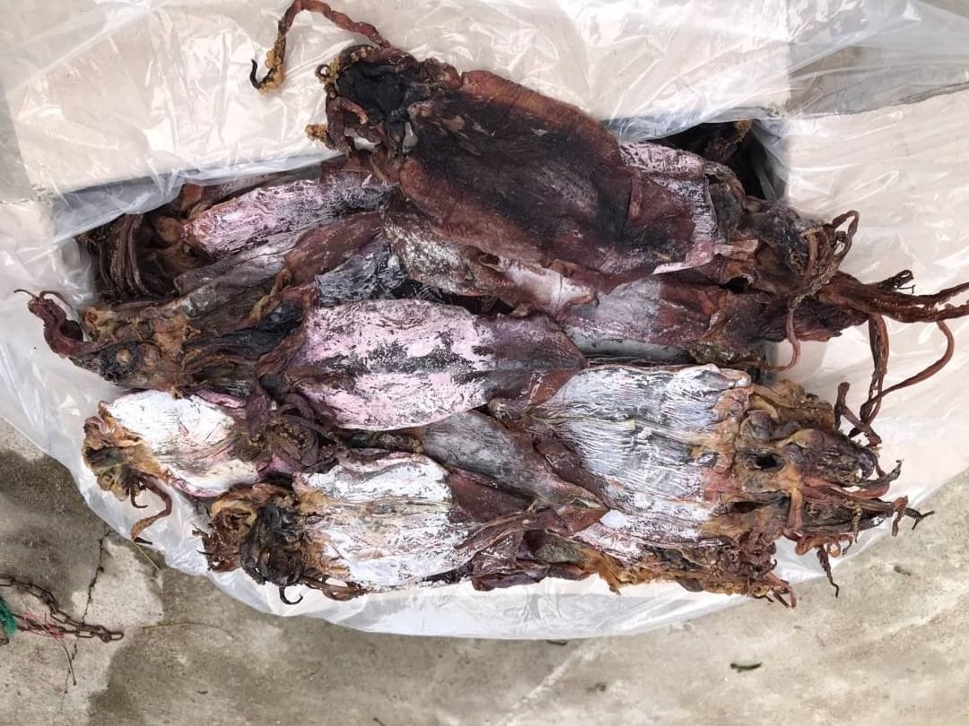 Hot Selling 2022 Dried Black Squid Made In Vietnam Factory Price And Good Quality/ Nick +84 971 640 759