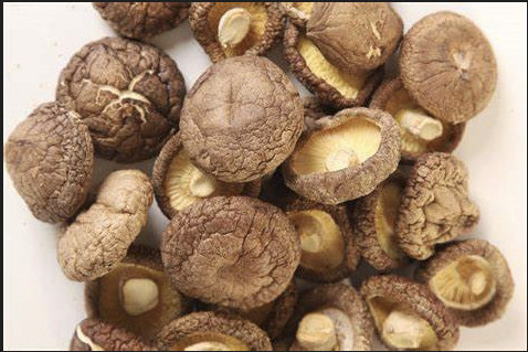 Dried Shiitake Mushrooms supply high quality wholesale from Vietnam// Hana