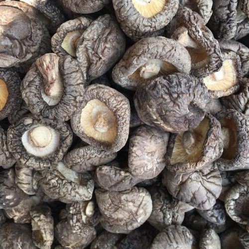 Dried Shiitake Mushroom - the most popular mushroom today// Hana