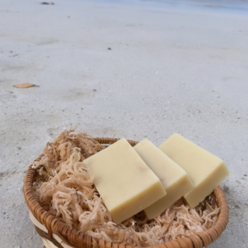 Wholesale Natural Soap Made from Sea Moss/ Irish Moss/ Eucheuma Cottonii The Best Quality Sea Moss Soap Ms.Lucy +84 929 397 651