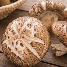 Dried Shiitake Mushroom - the most popular mushroom today// Hana