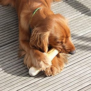 Dog Tough Wood Coffee Chew Toys Chewing Wooden Stick Toy From Vietnam - Bella