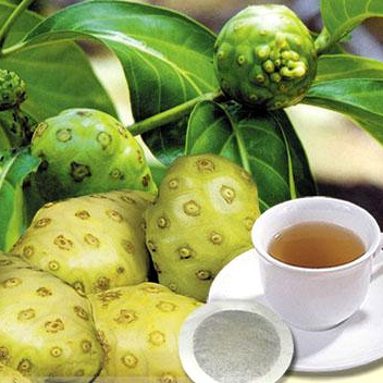 High Grade Dried Noni Fruit / Amber+84383004939