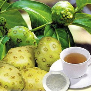 High Grade Dried Noni Fruit / Amber+84383004939