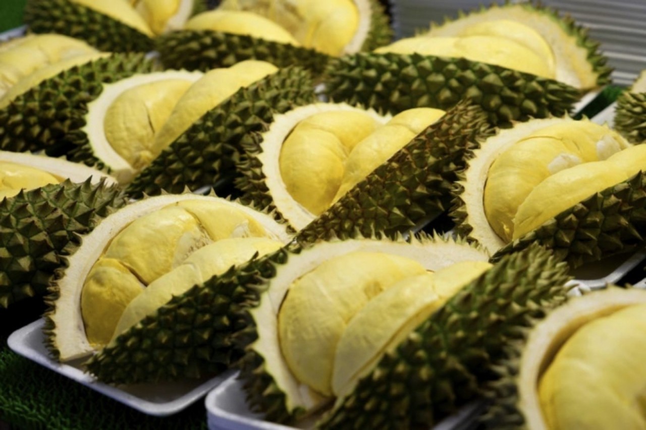 Premium Thai Monthong Frozen Durian - Lionel TP +84 348130044