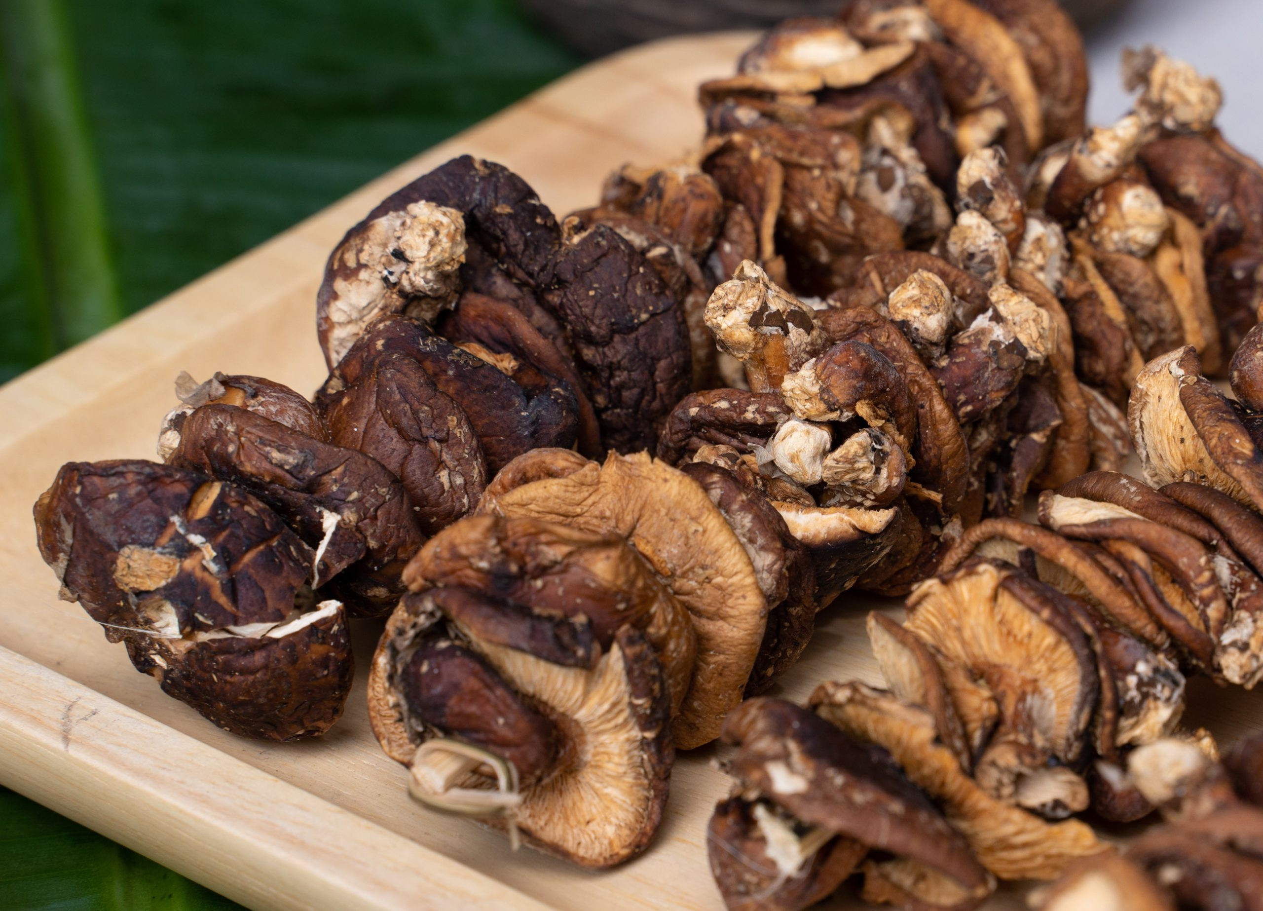 Dried Shiitake Mushrooms - ingredients for vegetarian/salty dishes.// Hana