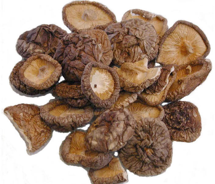 The leading supplier of dried shiitake mushrooms in Vietnam// Hana