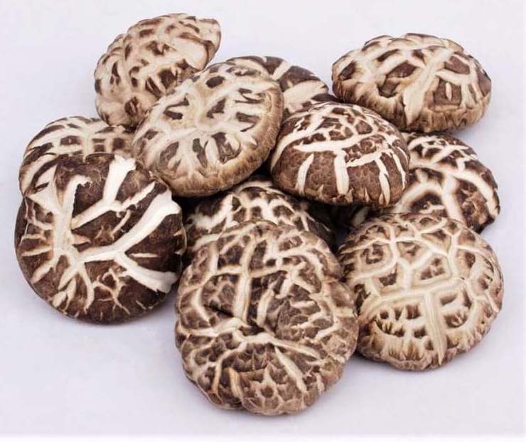 High quality shiitake mushrooms, qualified for bulk export, come from a Vietnamese supplier// Hana