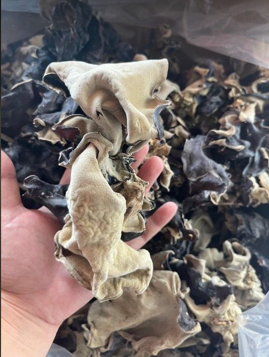 Best Seller 100% Natural Wood-Ear Mushroom With Premium Quality From VietNam/ Serena