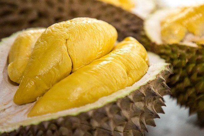 Premium Thai Monthong Frozen Durian - Lionel TP +84 348130044