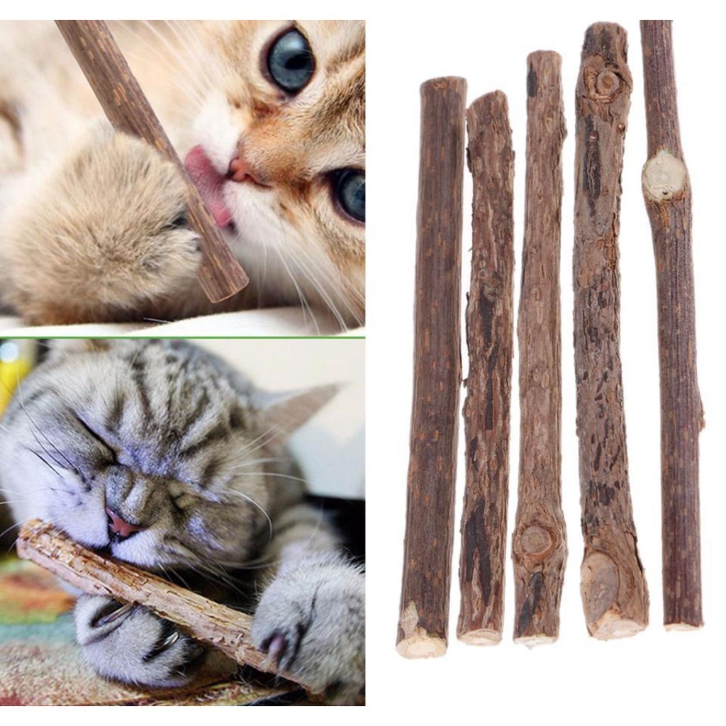 Dog Tough Wood Coffee Chew Toys Chewing Wooden Stick Toy From Vietnam - Bella