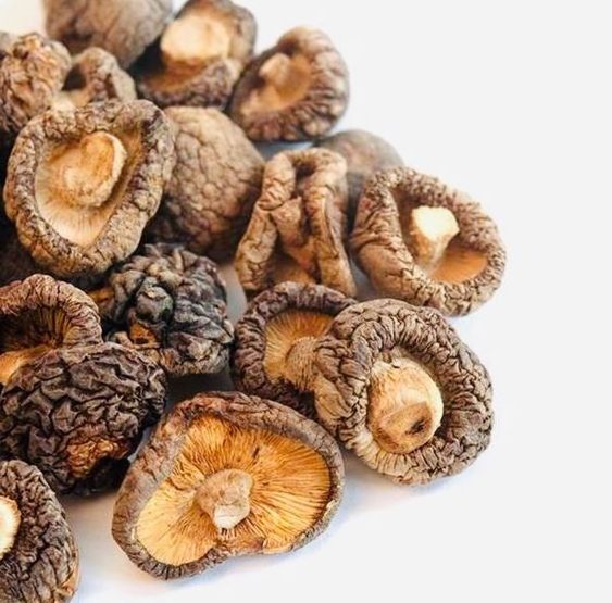 Dried Shiitake Mushrooms supply high quality wholesale from Vietnam// Hana