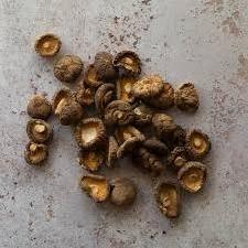 Dried Shiitake Mushroom - best price - best selling from Vietnam/Hana