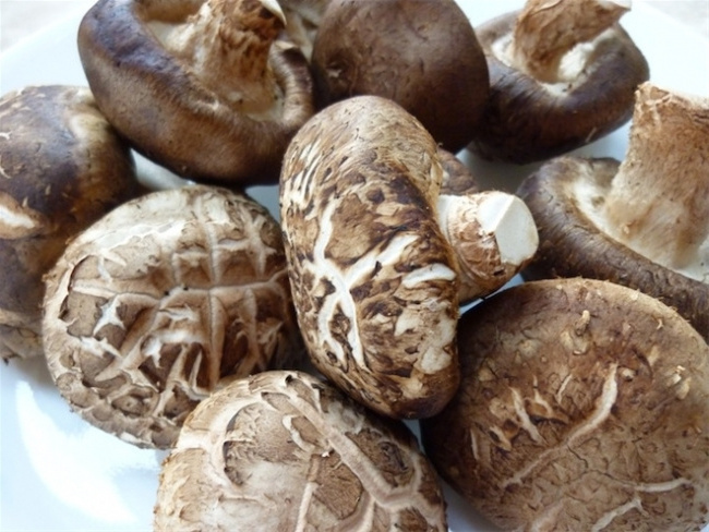 SHIITAKE MUSHROOM - 1 best selling product in Vietnam, high quality and good for health - HANA