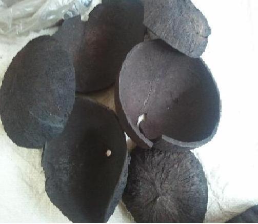 Coconut charcoal for sale/ Amber