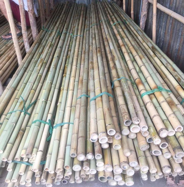 Large Bamboo poles wrapped plastic according to order