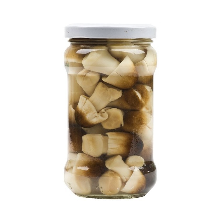 Canned mushroom/ Wholesale canned champignon mushroom prices/ canned mushroom slices// Amber +84383004939