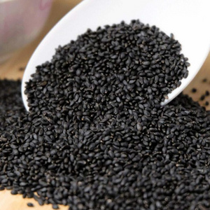 Top Quality good price Basil Seed for drinking topping milk tea from Vietnam Bella