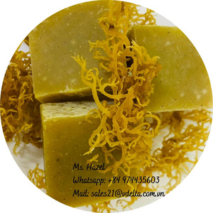 BEAUTY GATE COSMETICS SEA MOSS SOAP BAR MADE IN VIETNAM/TOP ORGANIC BODY CARE SOAPS FOR WOMAN/Ms. Hazel (+84) 974435603