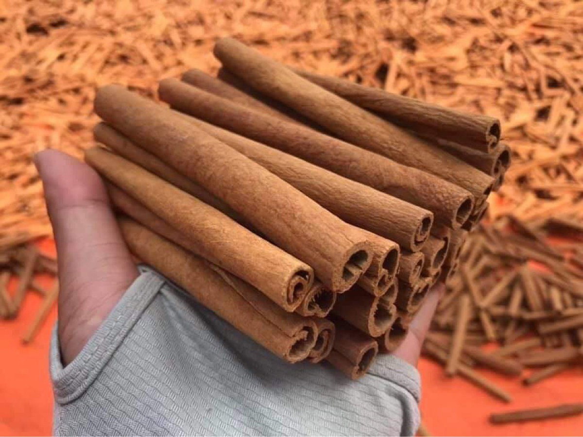 High Quality Chinese Spices and Herbs Cinnamon Stick Cinnamon /Ms. Nary +84 904183651