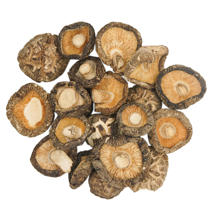 DRIED SHIITAKE MUSHROOM FROM VIETNAM - CONSUMER PRICE, PREMIUM, HIGH QUALITY PRODUCTS//HANA