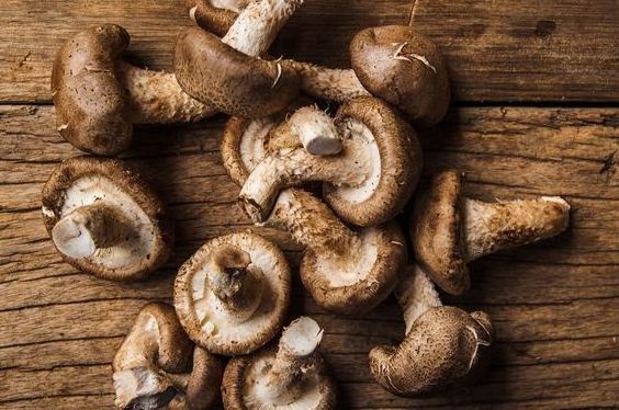 Dried Shiitake Mushrooms - ingredients for vegetarian/salty dishes.// Hana