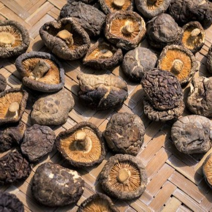 Dried whole shiitake mushroom good price from Vietnam - Cook with dried shiitake mushrooms// Hana