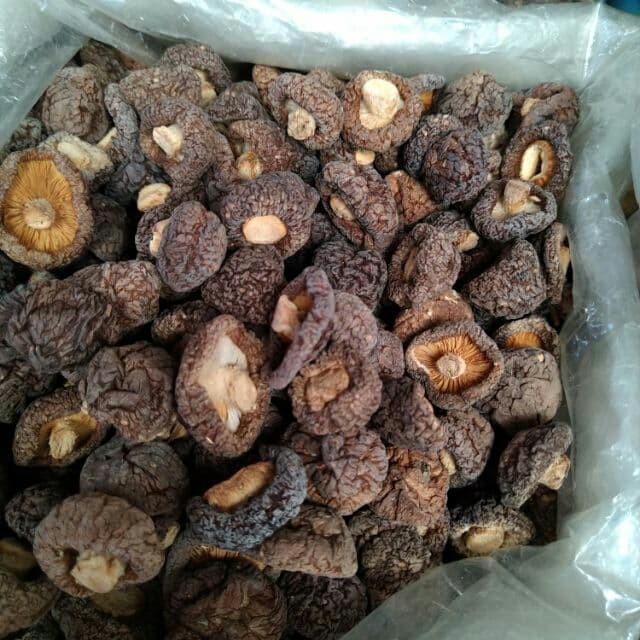 Dried shiitake mushrooms provide wholesale price, high quality// Hana