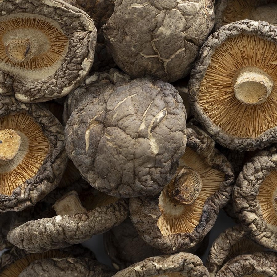 DRIED SHIITAKE MUSHROOM FROM VIETNAM - CONSUMER PRICE, PREMIUM, HIGH QUALITY PRODUCTS//HANA