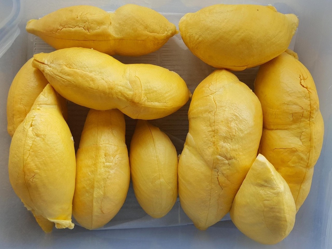 Premium Thai Monthong Frozen Durian - Lionel TP +84 348130044