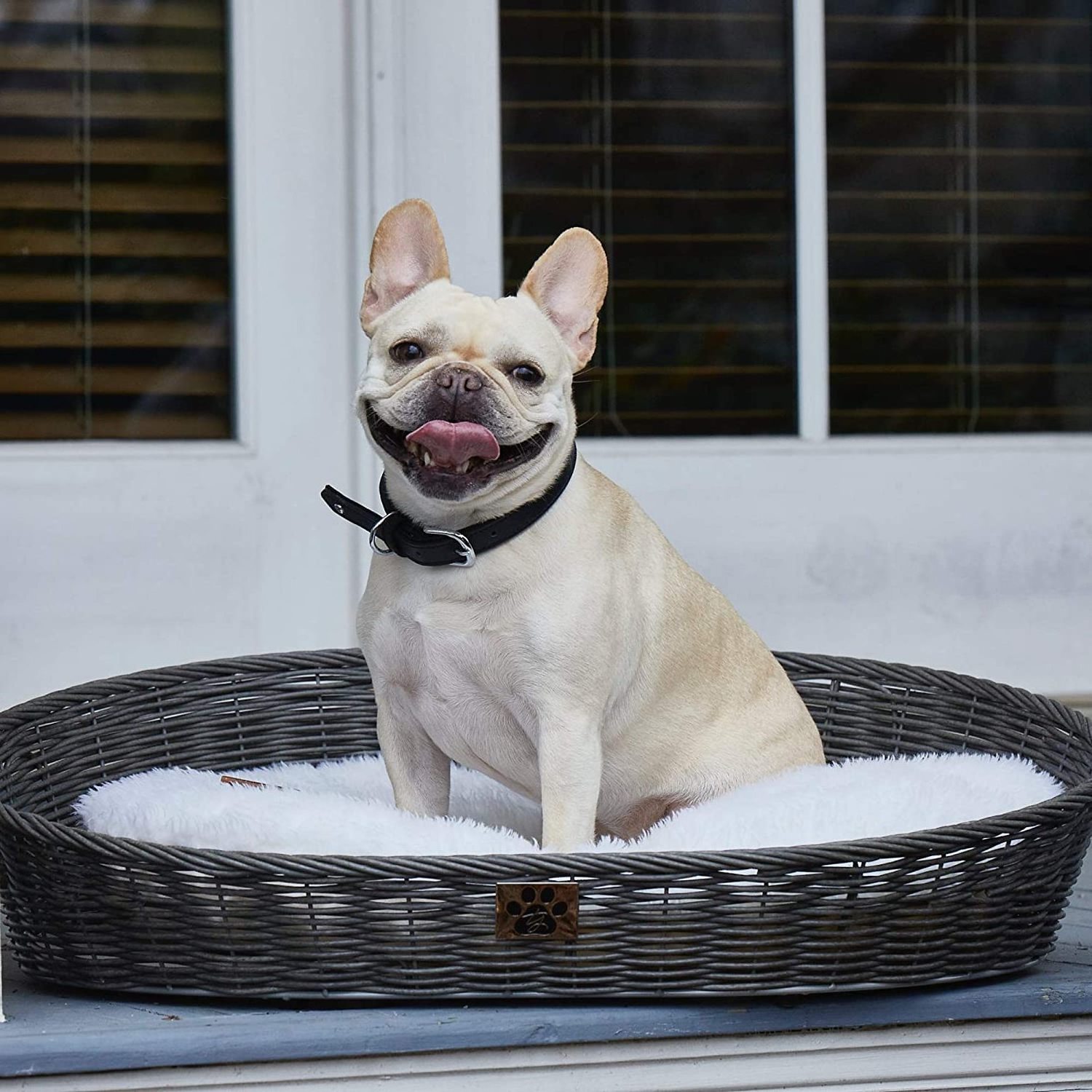 CATS OR SMALL DOGS RATTAN BED WICKER BASKET PUPPY HOUSE - Axel +84 38 776 0892