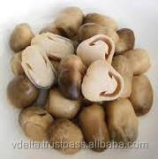 CANNED STRAW MUSHROOM WITH HIGH QUALITY/ CANNED VEGETABLES/ VICKY +84 90 393 1029