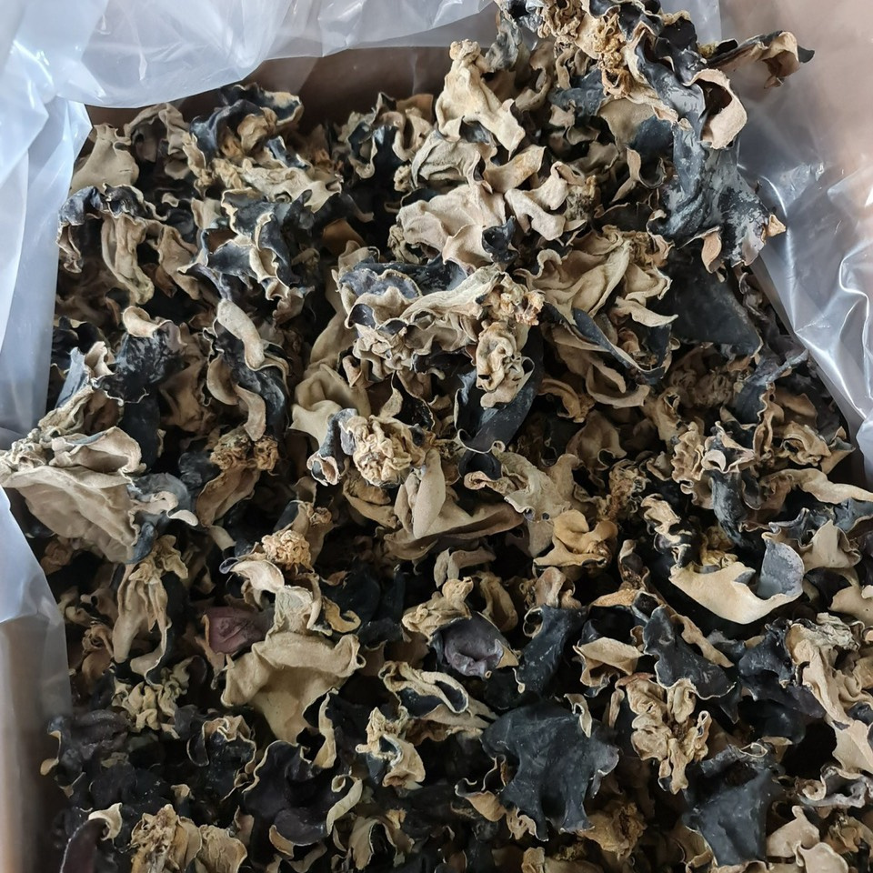 VIETNAM MUSHROOM -BLACK FUNGUS  High quality Mushroom - Reasonable Price - Various Type - Wholesale 2023//DC