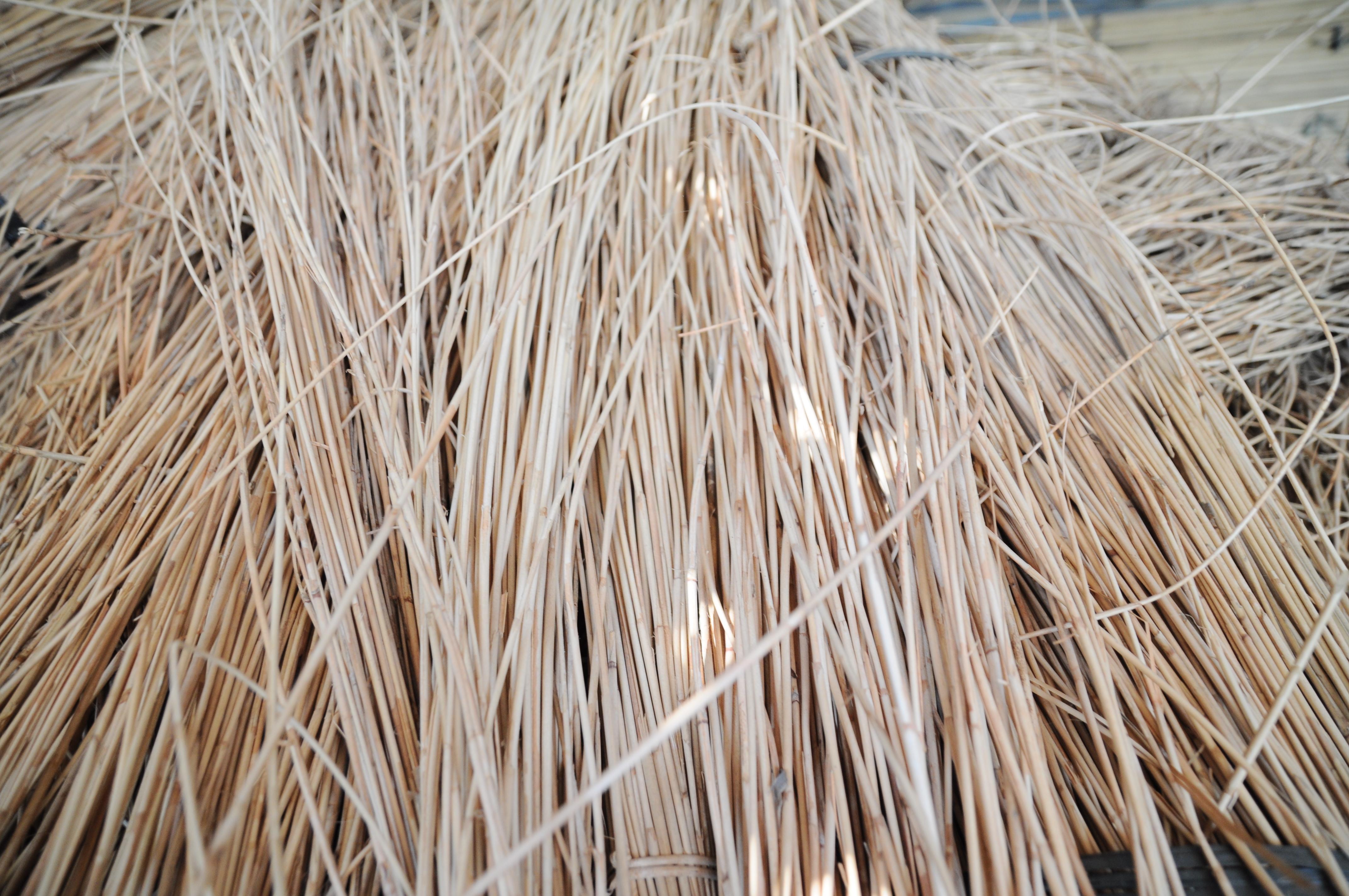 Rattan Pole, Raw Material - Rattan Webbing cane - Axel +84 38 776 0892