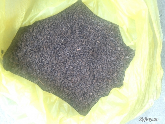 BAT GUANO FOR SALES/ VICKY +84 90 393 1029