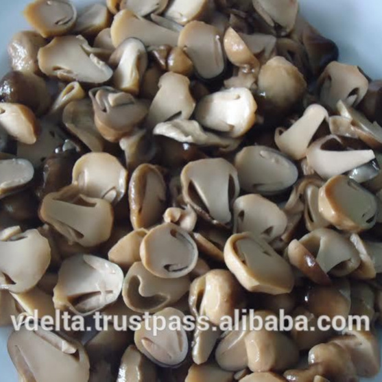 CANNED STRAW MUSHROOM WITH HIGH QUALITY/ CANNED VEGETABLES/ VICKY +84 90 393 1029