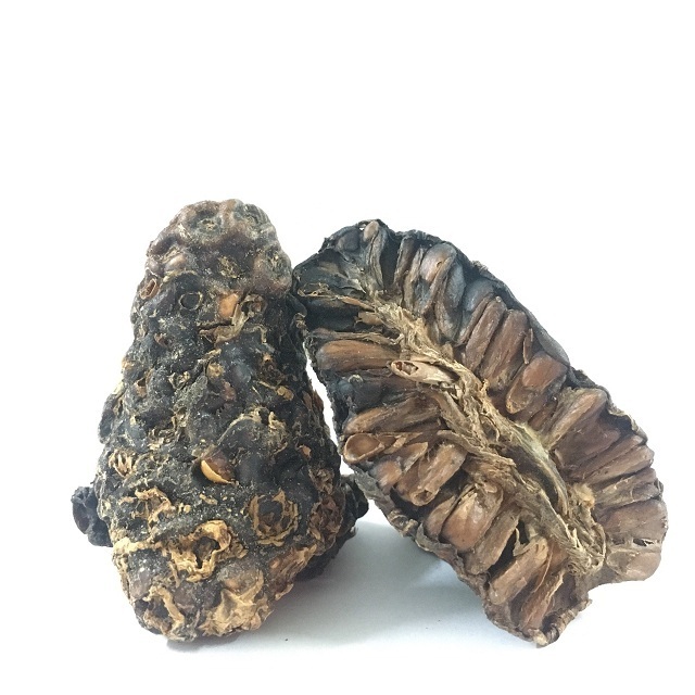 High Quality Dried Noni fruit/ Monrinda Citrifolia/ Indian Mulberry From Viet Nam For Tea// Amber +84383004939