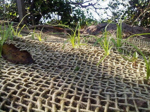 COIR NET/ COMPRESSED COCONUT FIBER SHEETS / COCO/Ms. Tracy