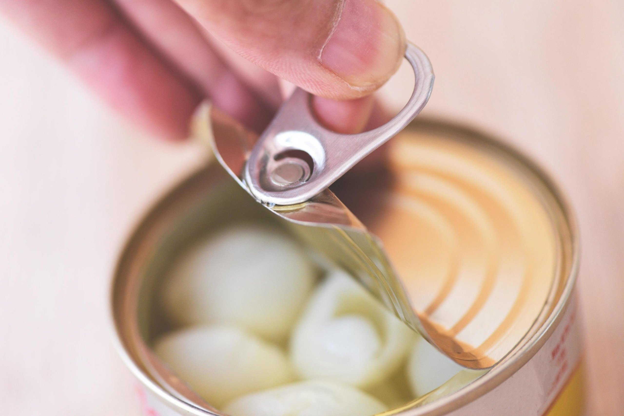 Canned Longan